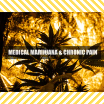 medical marijuana for chronic pain