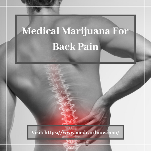 If you are suffering from back pain, you can get relief from it by using medical marijuana for back pain.