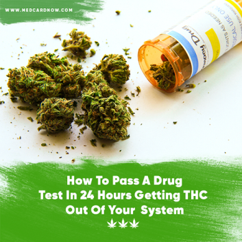 how to pass a drug test in 24 hours