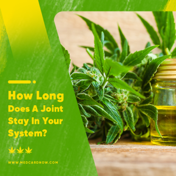 How Long Does a Joint Stay in Your System
