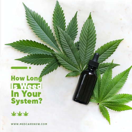 weed in system