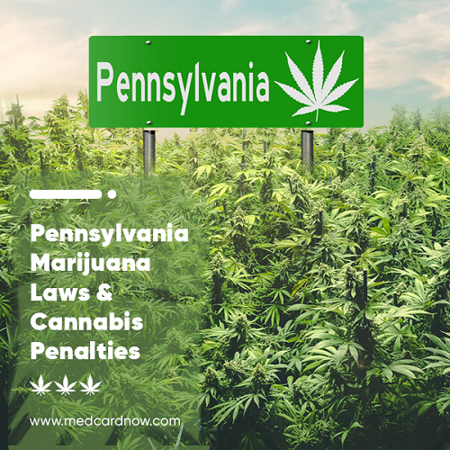 Pennsylvania Marijuana Laws