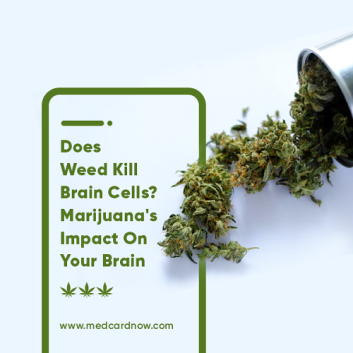 does weed kill brain cells