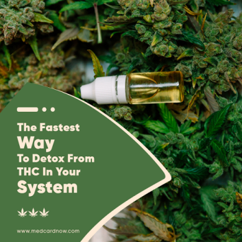 how to get thc out of your system