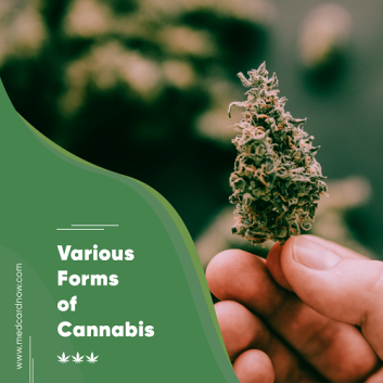 various forms of Cannabis