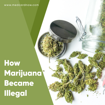 How Marijuana Became Illegal