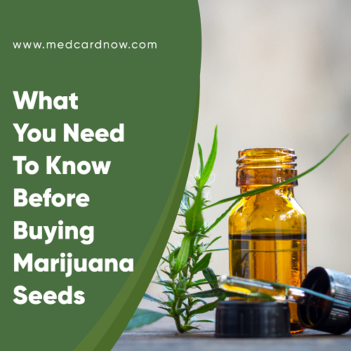 buying marijuana seeds