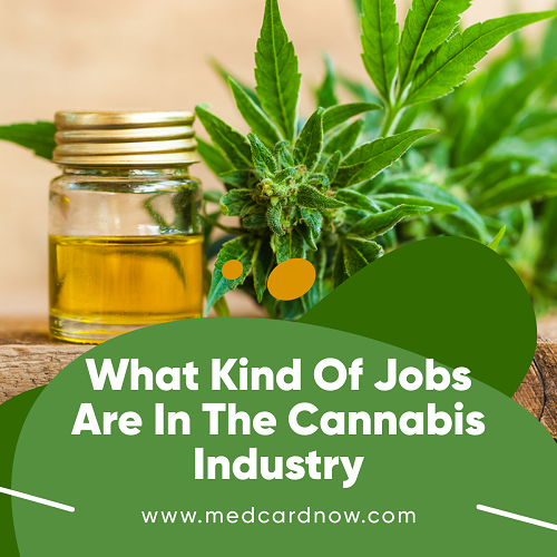 Jobs are in the Cannabis Industry