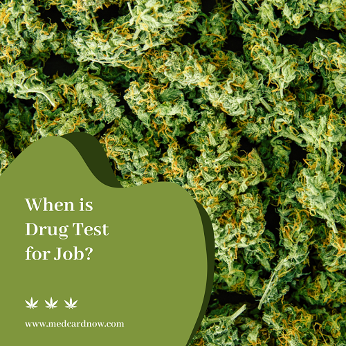 Best time Drug Test for Job