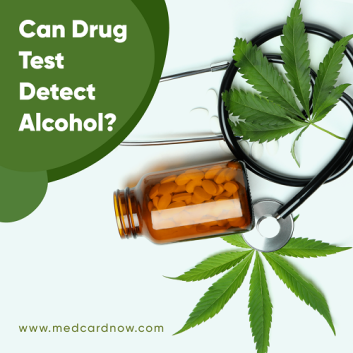 Can Drug Test Detect Alcohol
