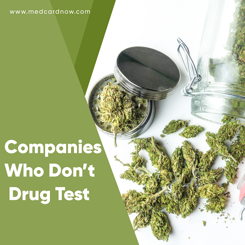 companies who do not drug test