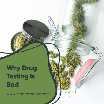 why drug testing is bad