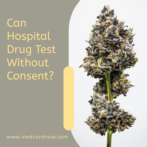 Can Hospital Drug Test Without Consent
